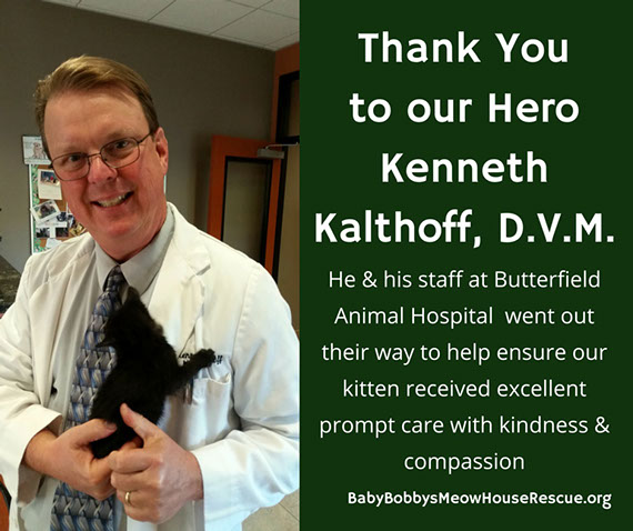 Dr. K. Kalthoff Butterfield Animal Hospital Thank You