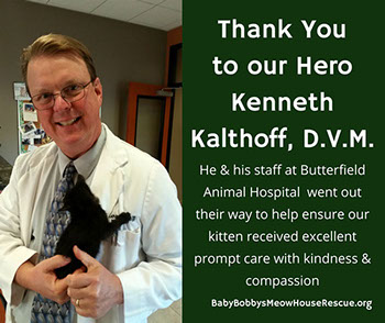 Dr. K. Kalthoff Butterfield Animal Hospital Thank You